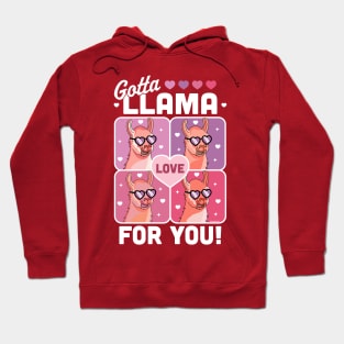 Gotta Llama Love For You Valentine's Day Llama Alpaca Funny Hoodie